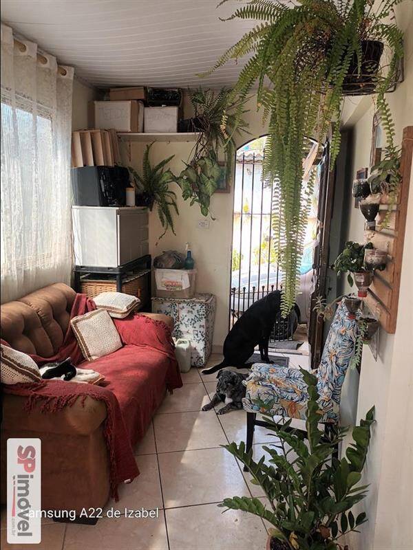 Casa, 3 quartos, 430 m² - Foto 9
