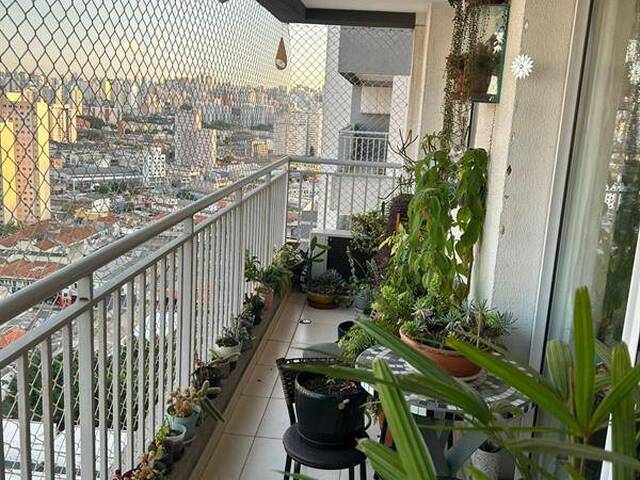 #Apto 772 - Apartamento para Venda em São Paulo - SP